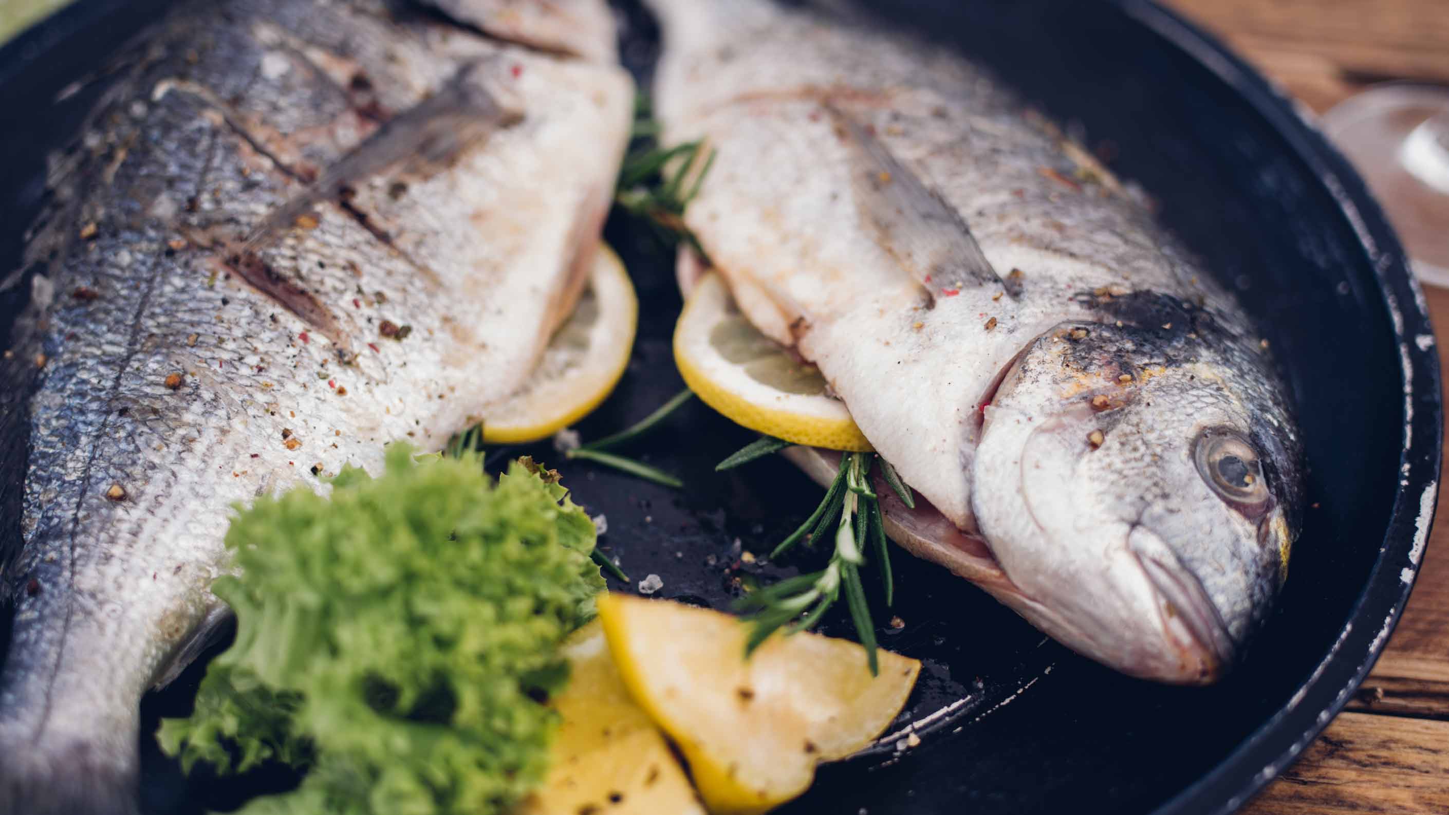 Die Sache mit dem Fisch in Zürich